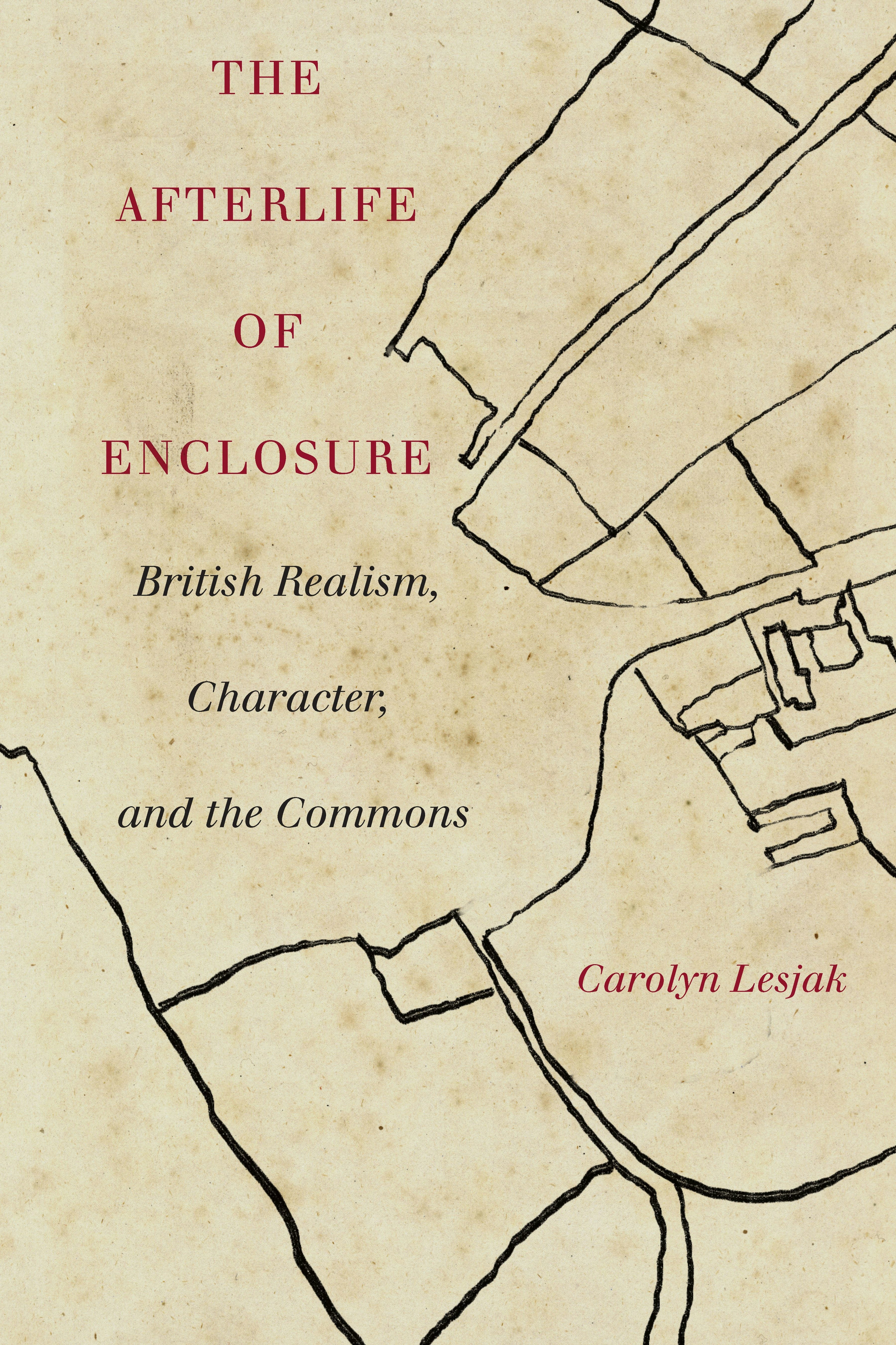 Book cover image for The Afterlife of Enclosure ISBN: 9781503627819